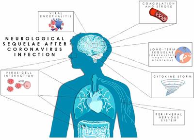 The Other Side of SARS-CoV-2 Infection: Neurological Sequelae in Patients